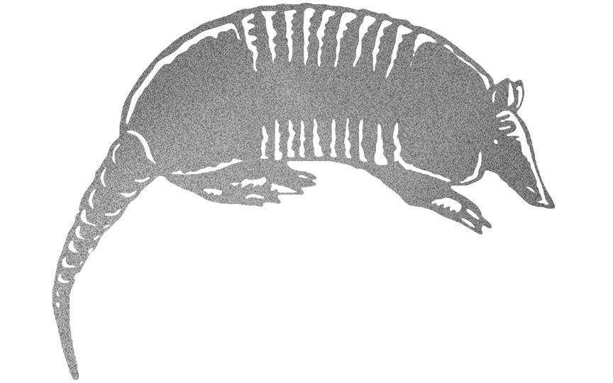 Armadillo stamp